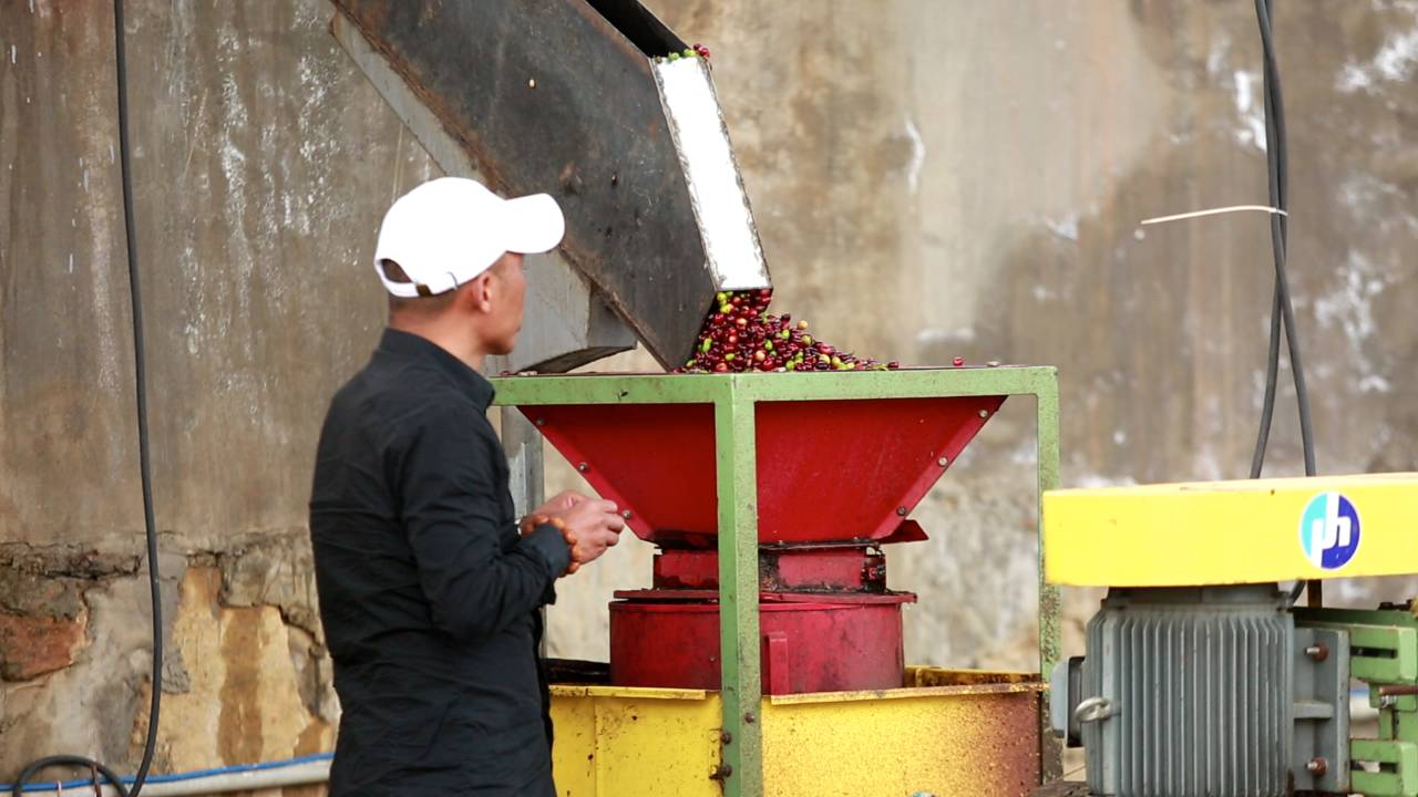 What on earth can you do when you go to the coffee producing area in China?