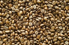 A brief introduction to the cultivation of Larez Yaoke boutique coffee beans with complete flavor, geographical location, climate and altitude