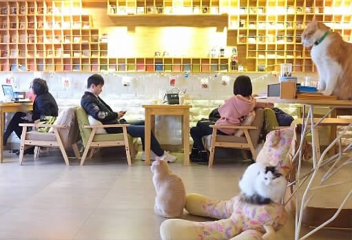 Changsha Cafe has upgraded its business format: there are about 10 