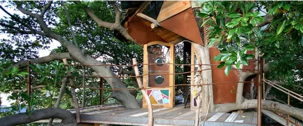 Surrounded by the aroma of forest and coffee, the seven most healed tree house coffee in Japan