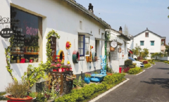 Look at the sea of flowers, live in accommodation, drink coffee. You can still do this when you go to the countryside of Haining!