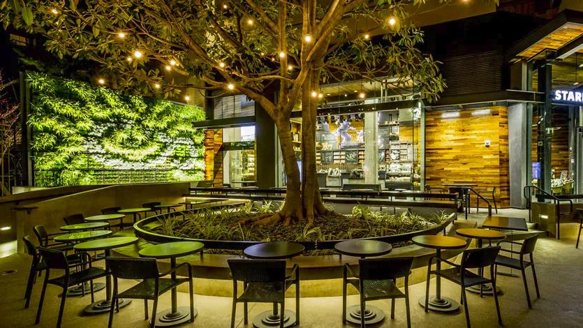 The other side of Starbucks: how does it build the greenest cafe in the world?