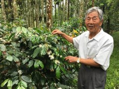 89-year-old farmer Liu Jiaguan self-planted self-baked coffee master