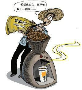 Yunnan coffee production accounts for 99% of the country's coffee production. It is difficult to exchange 1 kg coffee beans for 1 cup of coffee.