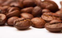 Nutrition and composition of coffee beans