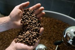 Internet of Things to Transform Global Coffee Supply Chain