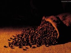 Chongqing: changing the pattern of World Coffee Trade