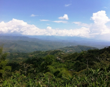 A brief introduction to the History and Culture of the Origin and Development of Superior Coffee beans in Zhuoyue Cup, Cauca, Colombia