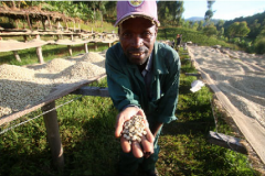 Treatment of grindability and baking degree of fine coffee beans grown in Burundikayanza province, Burundi