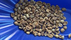 Indonesia aged Mantenin Aged Mandheling G1 Water washed Fine Coffee Bean planting Market Price