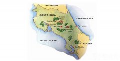 Description of flavor, taste and aroma characteristics of Costa Rican Yelsa Rocadura boutique coffee beans