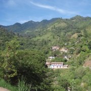 Origin, Development, History and Culture of Bourbon Fine Coffee beans washed in San Juan Theto No. 1, Honduras