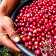 Brazil South Minas Semi-sun bourbon fine coffee beans hand brewing parameters recommendations