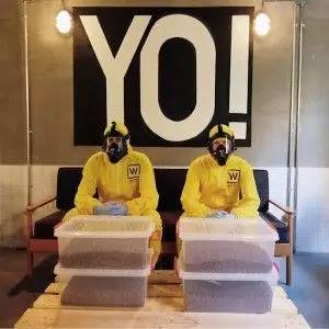 “绝命毒师”主题咖啡馆，美剧迷不可错过！