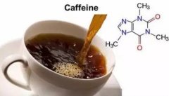 Flavor characteristics, producing area and brewing ginseng of coffee beans washed by Esseyega Ficochel kochere