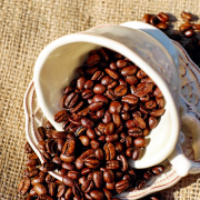 Characteristics of Yejia Fevina Fruit Coffee Bean