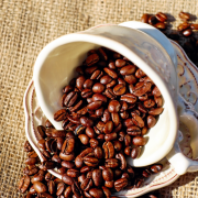 How does Bolivian coffee taste? how does Bolivian coffee brew?