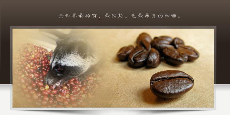 How to grind cat poop coffee beans and how to brew Kopi Luwak