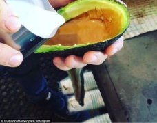 Australian cafe staff network drying avocado cups of coffee may start a new trend