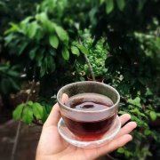 How did Colombian Coca Coffee come from? how do Colombian coffee beans grade?