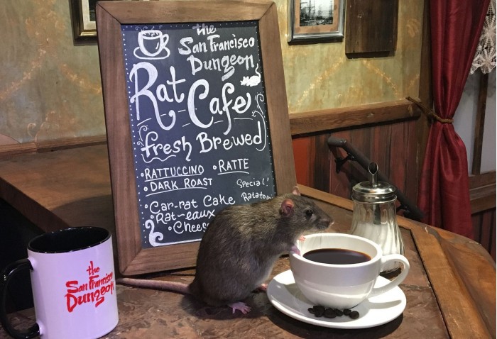 San Francisco dungeon Park will usher in the first mouse-themed cafe, not Mickey.