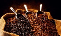 Myanmar will export 100 tons of coffee beans to China this year