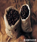 Distribution and baking flavor characteristics of Nicaraguan coffee beans
