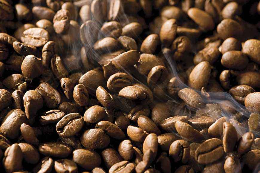 Cat poop coffee beans production process, cat poop coffee beans flavor description