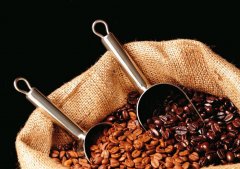 El Salvador Himalayan Manor single Bean Coffee Flavor description planting Information