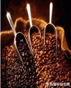 Popular science | introduce you to coffee from Central American countries (part two)