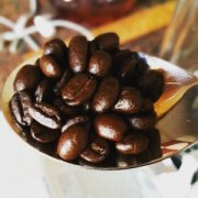 Kenya single bean producing area introduces how to brew Kenyan single bean.