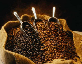 Price of Bali coffee, introduction of Bali coffee varieties