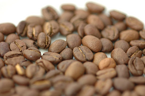 Costa Rican coffee bean production area altitude taste flavor grading system what is hard bean extremely hard bean?