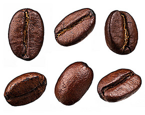 What's the tasty Robusta like?