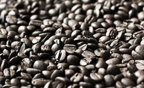 What kind of coffee does Rosa coffee belong to?