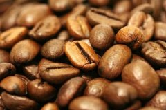 Flavor characteristics, producing areas and brewing parameters of single bean of Jamaican Blue Mountain Coffee