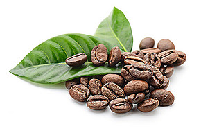 Colombia Coffee Bean Environmental Flavor Aroma Introduction