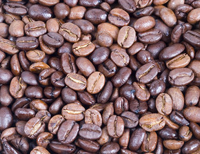 Origin characteristics of Bolivian Coffee