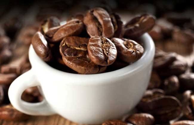 Harvest season for coffee planting in Kenya