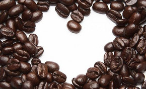 Introduction of coffee beans in Honduras RFA rainforest certified manor in Honduras