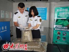 Can raw coffee beans sprout? Passengers carrying 60 kilograms of raw coffee beans into the country were returned.