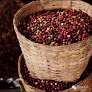 Coffee evaluation: exhibition and sale of agricultural products to promote Nantou industry