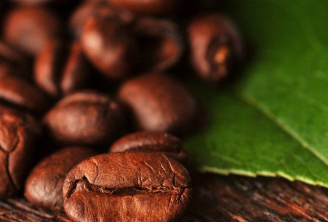 Cup test in coffee producing area of Bolivia