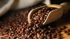 Kenyan AA Carlo Goto flavor describes which brand of Kenyan coffee is good.