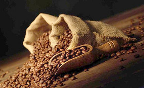 Introduction of Salvadoran hybrid Pacamara coffee beans