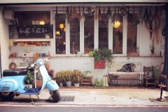 Cat slave paradise! The four major cafes where the cat store manager is in charge.