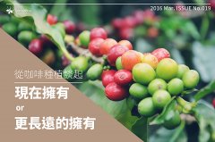 Let's talk about coffee cultivation. ─ owns it now, or in the long run.