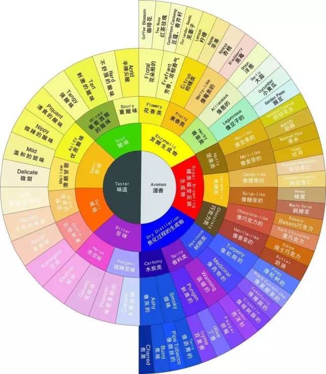 Coffee flavor wheel: bitter and salty, sour and sweet