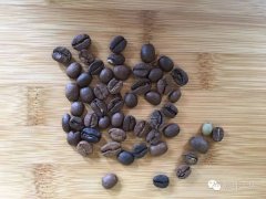 The influence of Coffee defects on Coffee quality