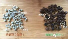 What's the difference between fresh coffee beans and old beans?